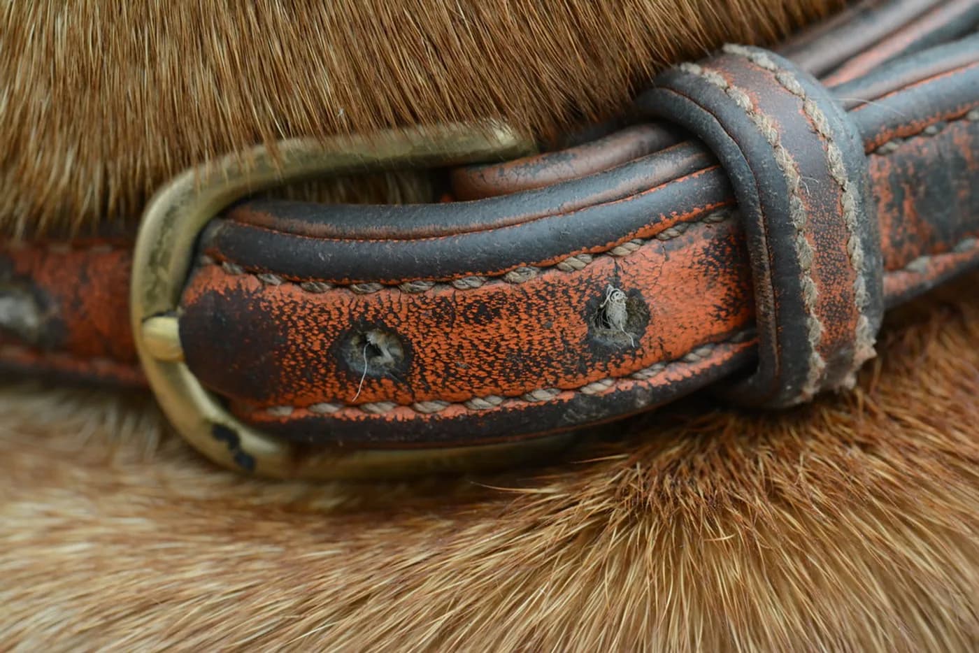 Hand-Stitched Leather Collar