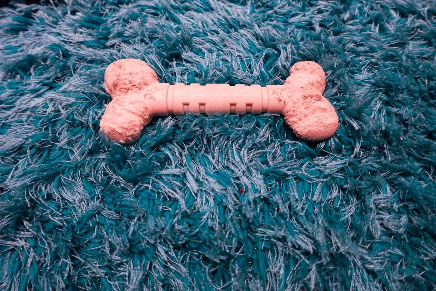 Tough Bone Chew Toy
